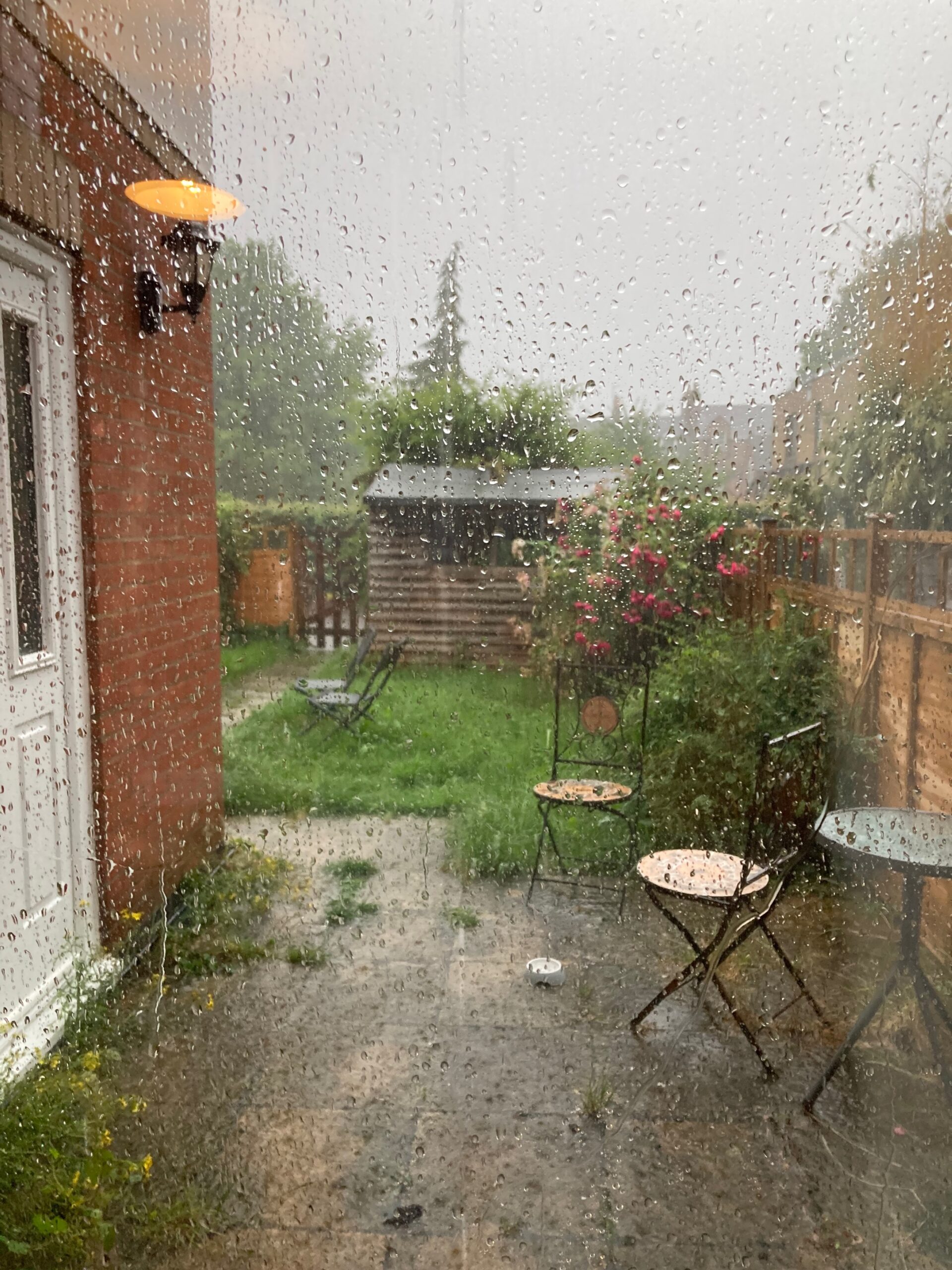 Our back garden, saturated with rain.